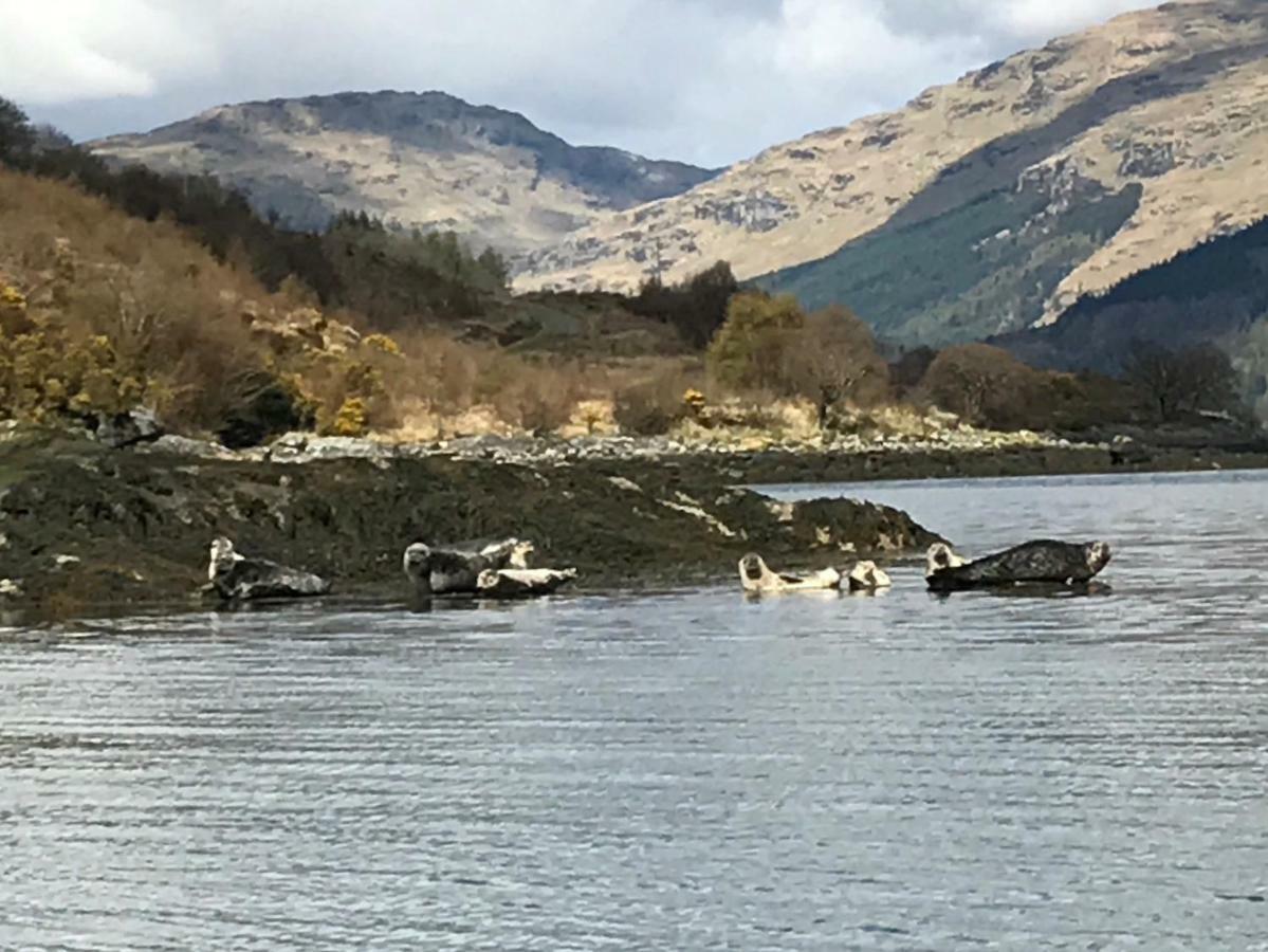 Carrick Farm Lochgoilhead Exterior photo